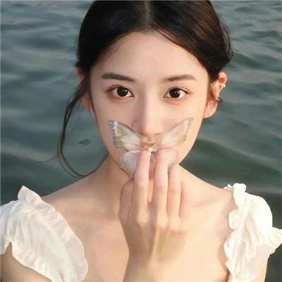 睡莲